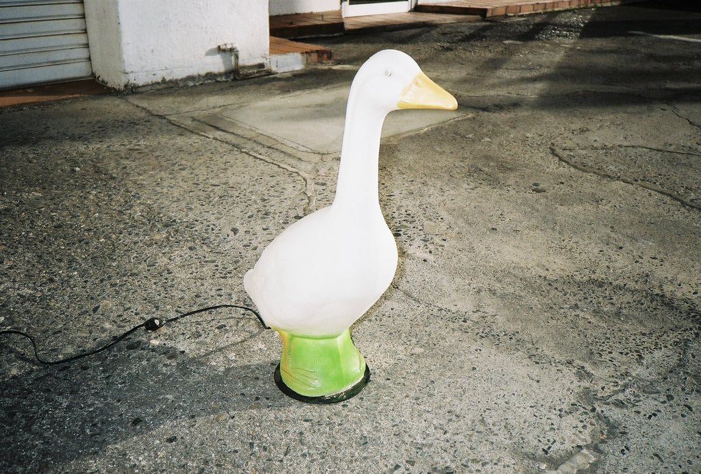 PSU-LG005_Duck light (Dad)